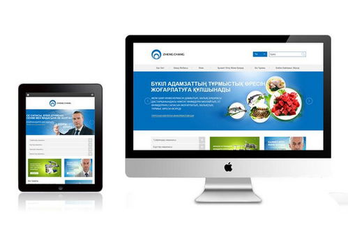 廣州網(wǎng)絡(luò)公司 網(wǎng)站改版與網(wǎng)頁(yè)設(shè)計(jì)開發(fā)服務(wù)詳解